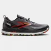 Mens Cascadia 18 GTX Shoes