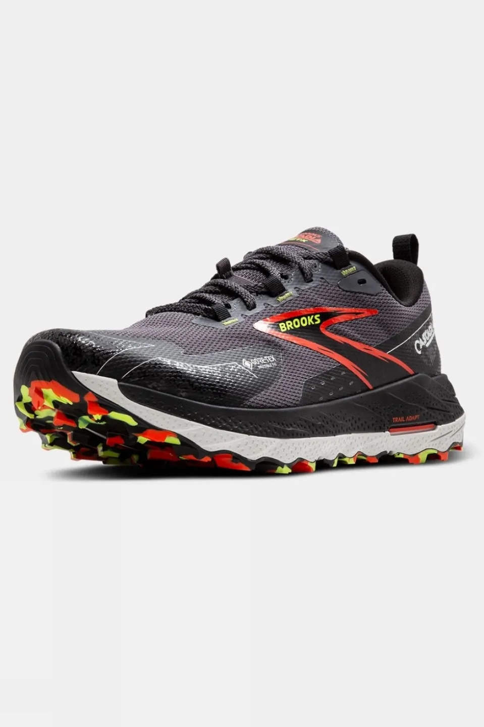 Mens Cascadia 18 GTX Shoes