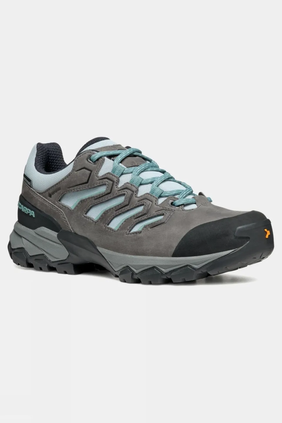 Womens Moraine GTX Shoes